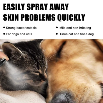 C7AD Проблемы с кожными заболеваниями кошек и собак, Стригущий лишай для собак, облегчение кошачьего зуда
