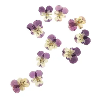 10 Сушеных цветочных анютиных глазок для украшения, подвеска из смолы, ювелирное ремесло