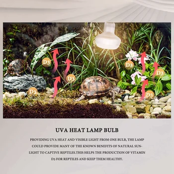 6 Упаковок 75 Вт Лампы для рептилий UVA Heat лампа Bearded Dragon Аксессуары для рептилий 220 В