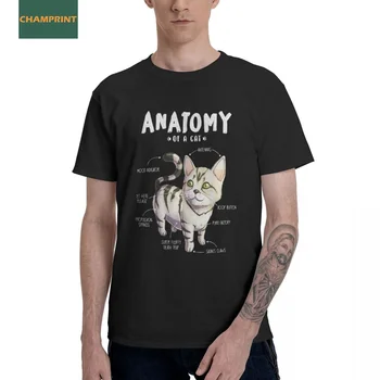 Винтажные футболки Anatomy Of A Cat, забавный кот, котенок, мужские футболки из 100% хлопка, футболка с коротким рукавом, одежда больших размеров
